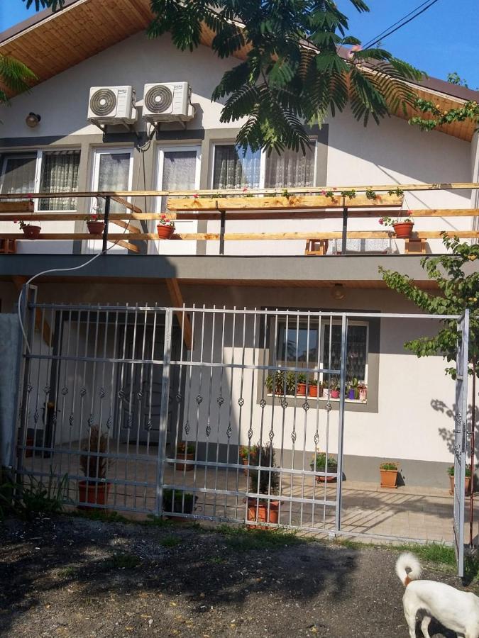 Vila Alexandra Apartment Eforie Nord Exterior photo