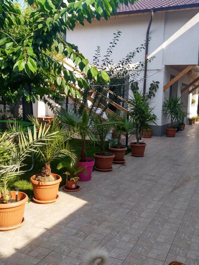 Vila Alexandra Apartment Eforie Nord Exterior photo